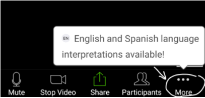 Zoom mobile screen showing expanded More menu options
